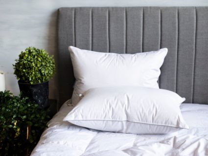 Подушка German Grass Gray Familie Down упругая 70х70