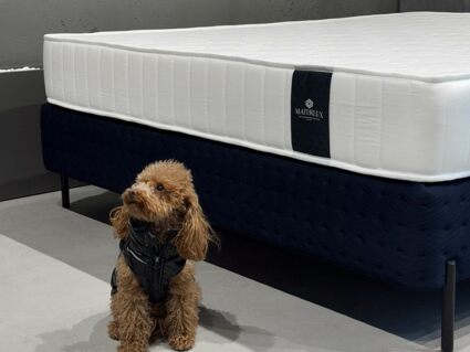 Матрас Materlux Aventino Multi Forte 125х195