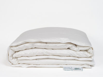 Одеяло Nature’S-Natura Sanat Воздушный пух всесезонное 240х260