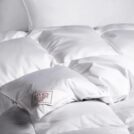 Одеяло German Grass EXCLUSIVE COTTON EIDER DOWN теплое 200х220