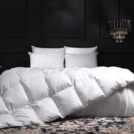 Одеяло German Grass EXCLUSIVE COTTON EIDER DOWN теплое 200х220